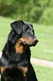 BEAUCERON 845